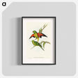 アートポスター-Scaly-breasted Lorikeet
 - オーストラリアの鳥 Poster.