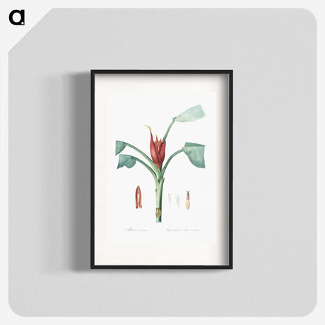 2-51_The-Lilies_blk