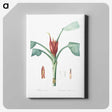 2-51_The-Lilies_canvas