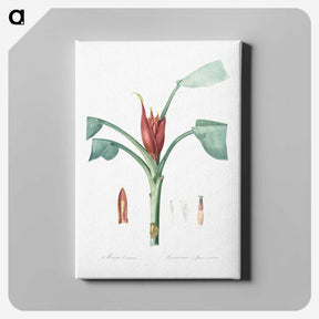 2-51_The-Lilies_canvas