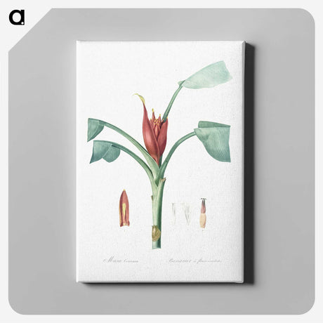 2-51_The-Lilies_canvas