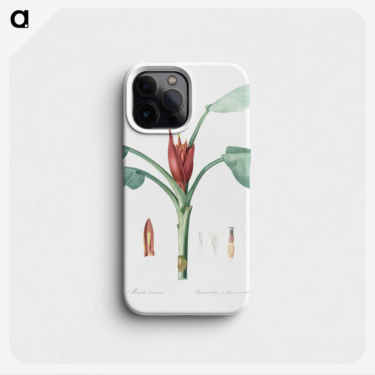 2-51_The-Lilies_phone