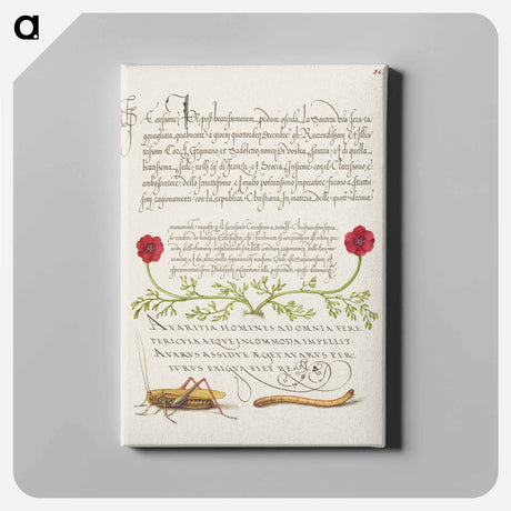 アートパネル-Pheasant's Eye, Cricket or Grasshopper, and Wireworm
 - 書道のお手本 Canvas.