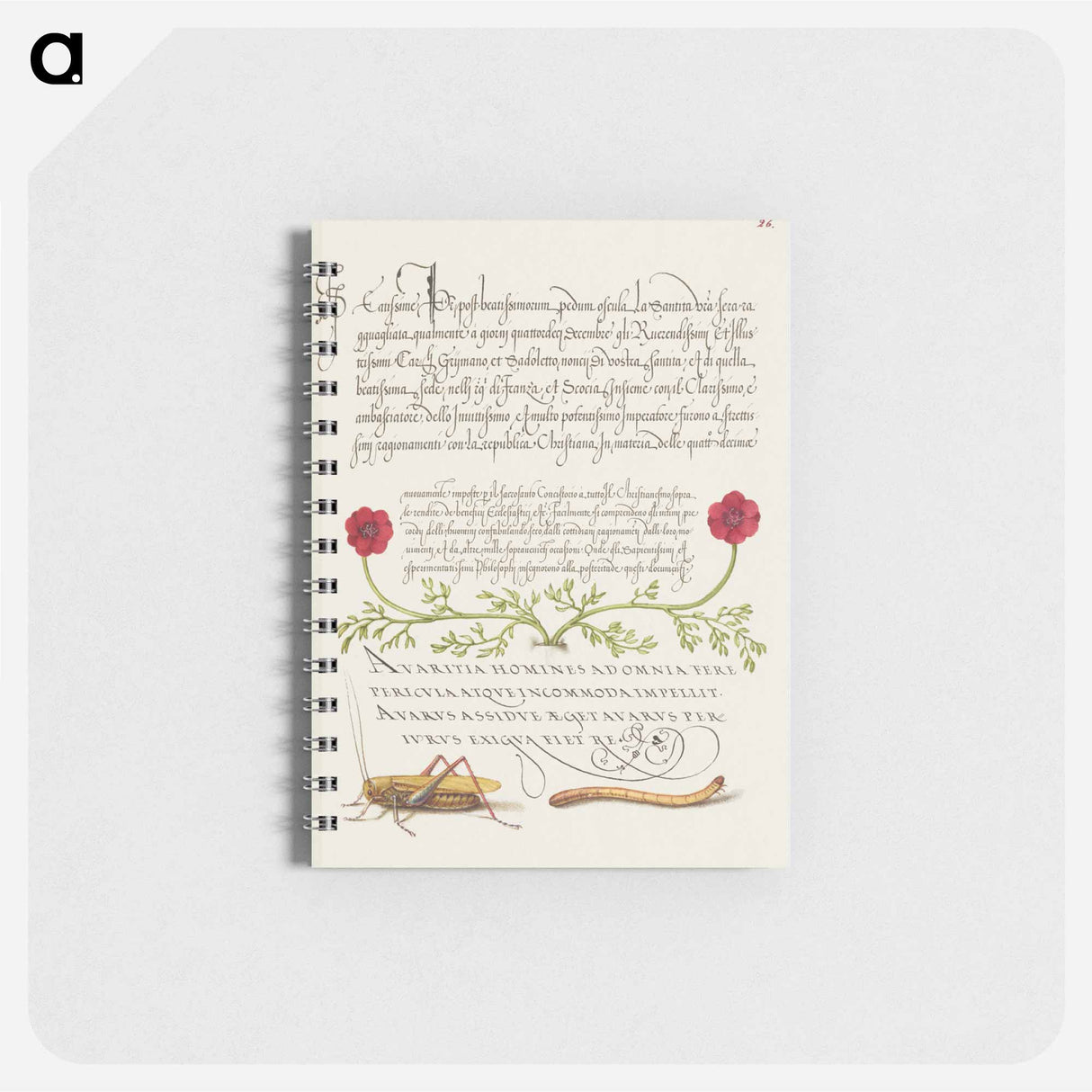 アートメモ帳-Pheasant's Eye, Cricket or Grasshopper, and Wireworm
 - 書道のお手本 Memo.