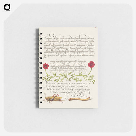 アートメモ帳-Pheasant's Eye, Cricket or Grasshopper, and Wireworm
 - 書道のお手本 Memo.