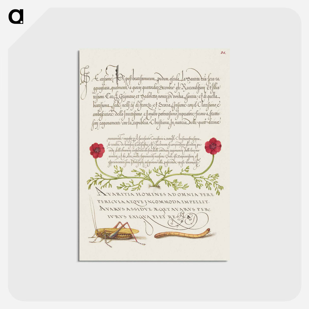 アートポストカード-Pheasant's Eye, Cricket or Grasshopper, and Wireworm
 - 書道のお手本 Postcard.