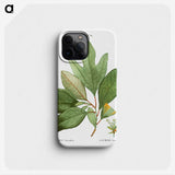 2-51_Treatise-on-Trees-and-Shrubs_phone