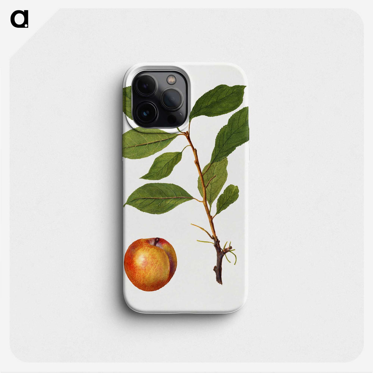 2-51_USDA-Watercolor-Fruit-Painting-Collection_phone