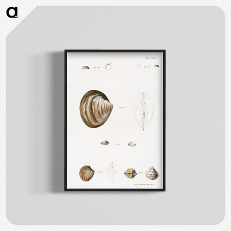 2-51_Zoology-of-New-York_blk-crop