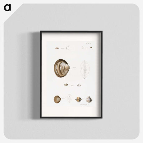 2-51_Zoology-of-New-York_blk