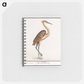 アートメモ帳-Heron, Ardea - アンセルムス ボエティウス デ ブート Memo.