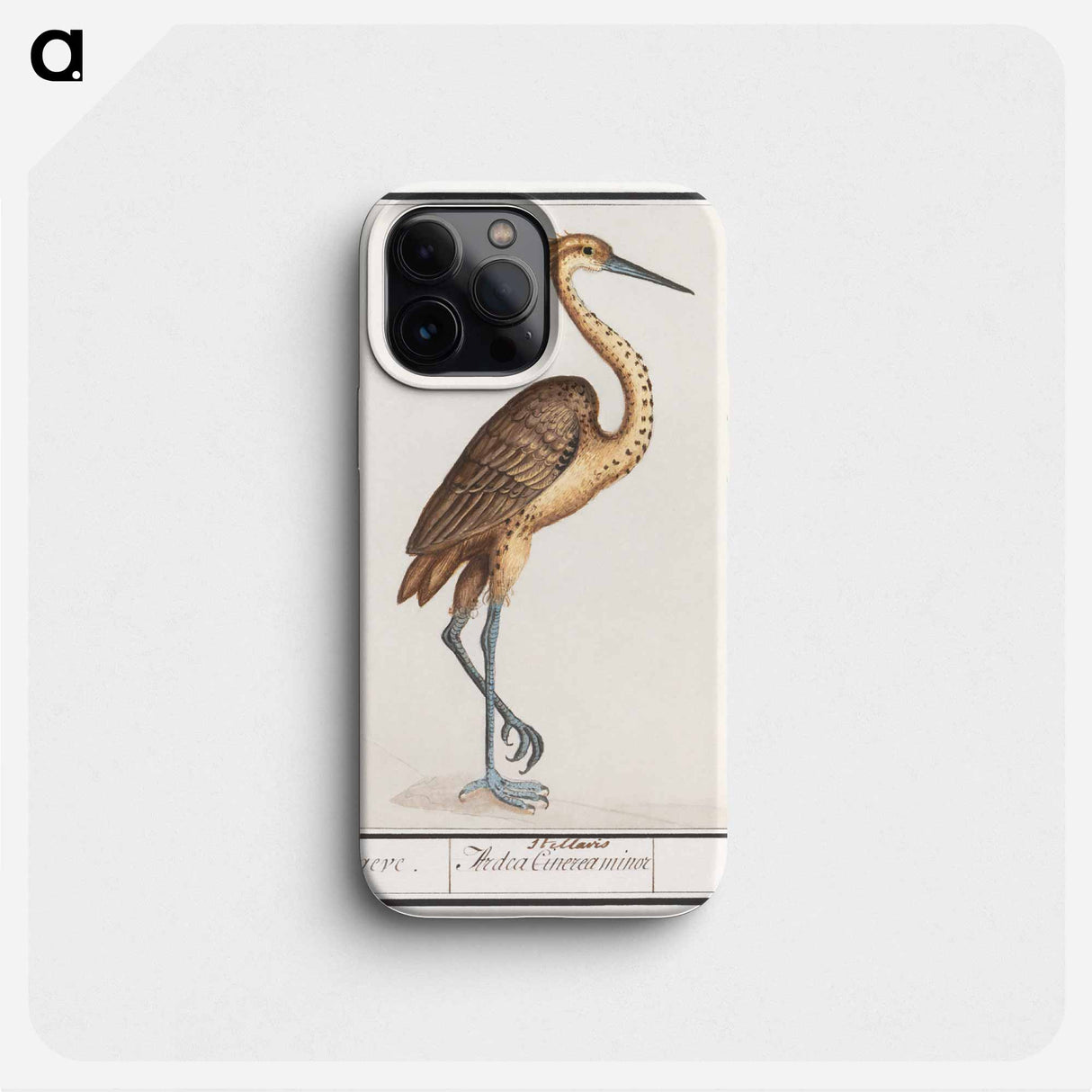 Heron, Ardea - アンセルムス ボエティウス デ ブート Phone Case.
