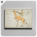 Camelopardalis, Tarandus and the Custos Messium - アンティーク地図 Canvas.