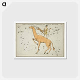 アートポストカード-Camelopardalis, Tarandus and the Custos Messium - アンティーク地図 Postcard.