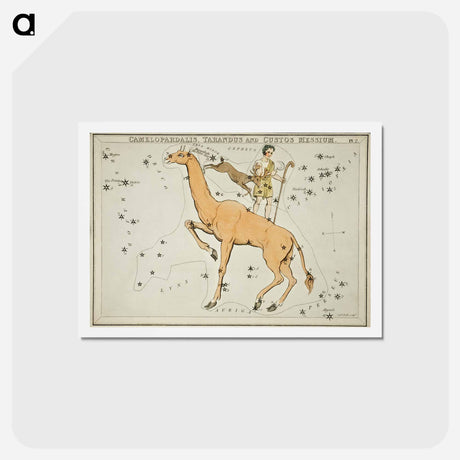 アートポストカード-Camelopardalis, Tarandus and the Custos Messium - アンティーク地図 Postcard.