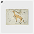 2-52_Antique-Maps_postcard