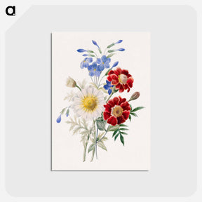 アートポストカード-Red and Blue Flowers
 - バーンズ・コレクション Postcard.