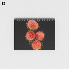 2-52_COVID-19_memo