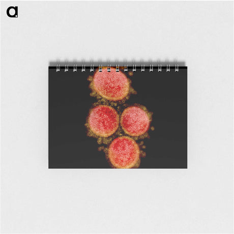 2-52_COVID-19_memo