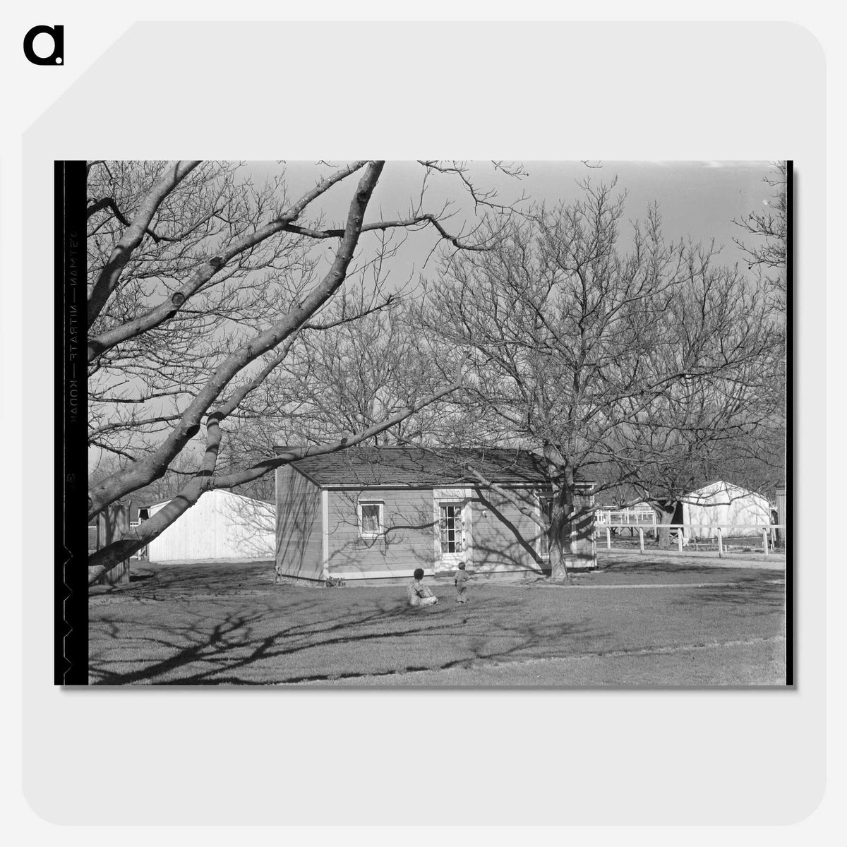 2-52_Dorothea-Lange_picture-crop