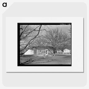 2-52_Dorothea-Lange_picture