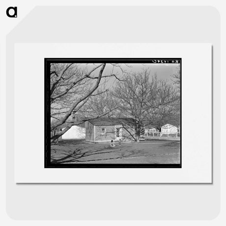 2-52_Dorothea-Lange_picture