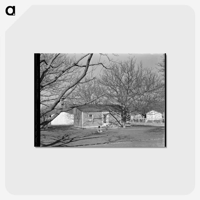 2-52_Dorothea-Lange_postcard