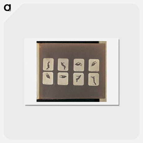 アートポストカード-Twisting Somersault
 - エドワード マイブリッジ Postcard.