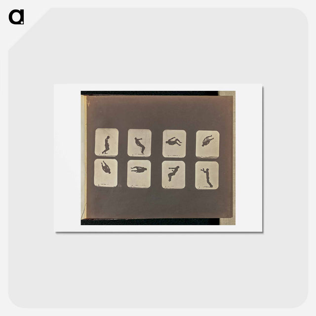 アートポストカード-Twisting Somersault
 - エドワード マイブリッジ Postcard.