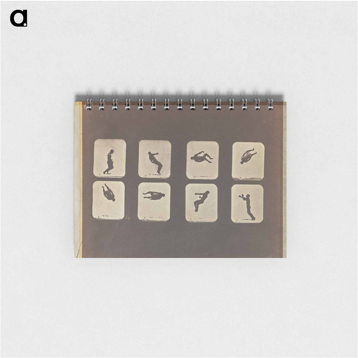 アートメモ帳-Twisting Somersault
 - エドワード マイブリッジ Memo.