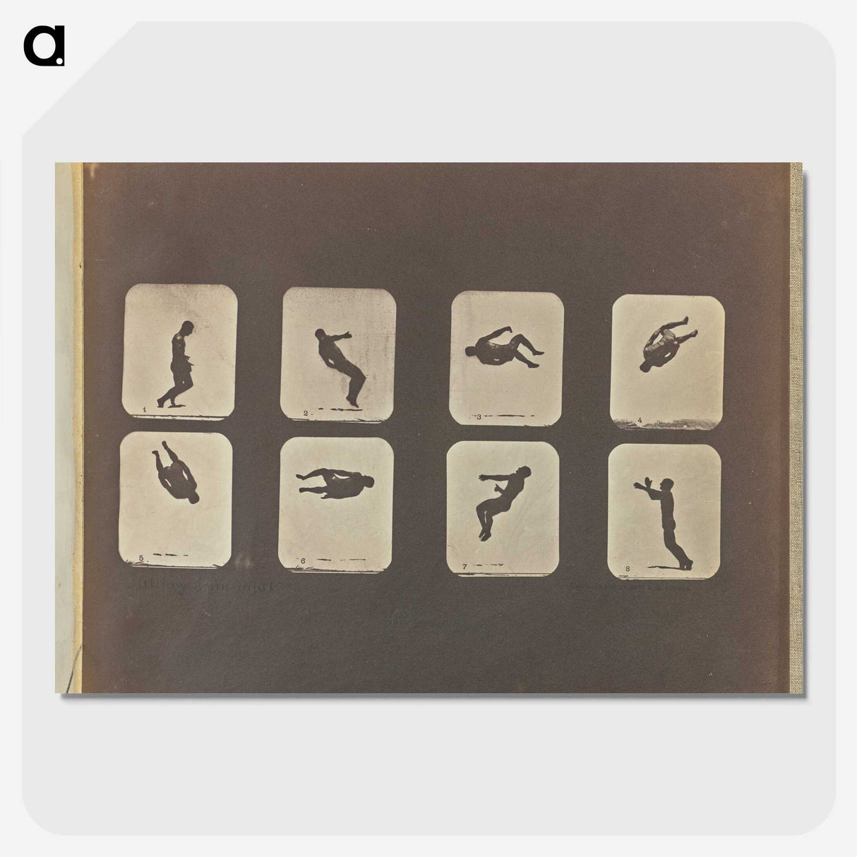 2-52_Eadweard-Muybridge_picture-crop