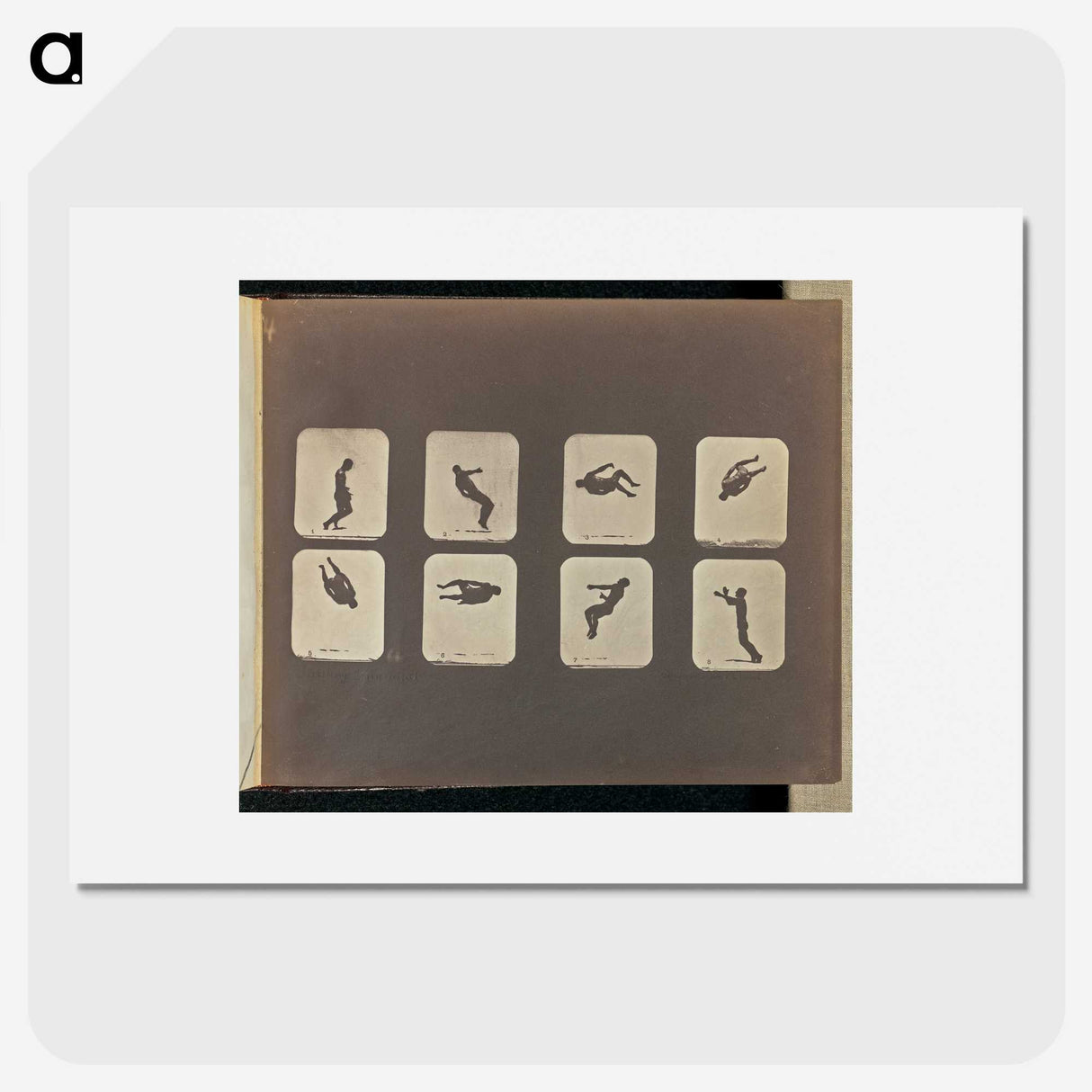 2-52_Eadweard-Muybridge_picture