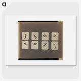 2-52_Eadweard-Muybridge_picture