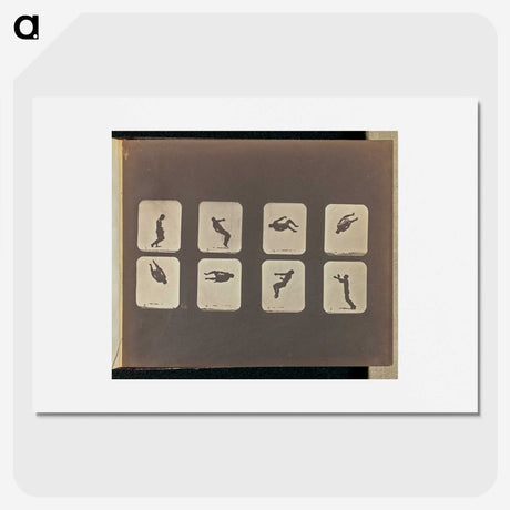 2-52_Eadweard-Muybridge_picture