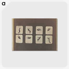 2-52_Eadweard-Muybridge_postcard