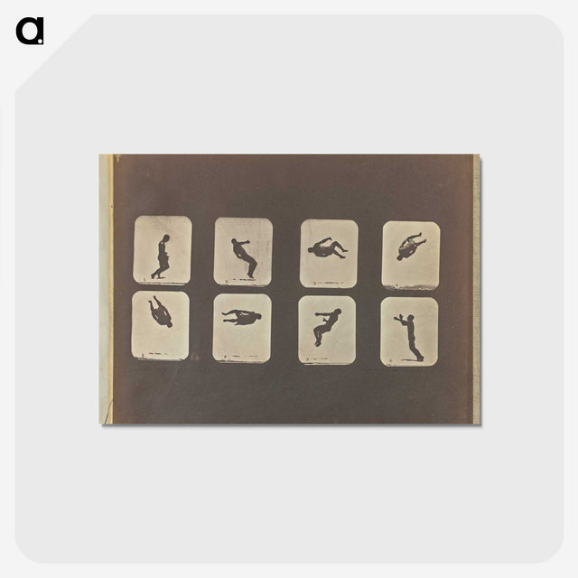 2-52_Eadweard-Muybridge_postcard