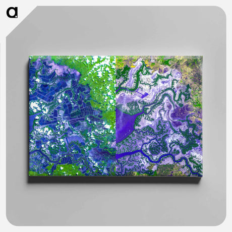 アートパネル-Gulf of Fonseca, Honduras
 - 上空からの地球 Canvas.