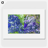2-52_Earth-from-Above_picture