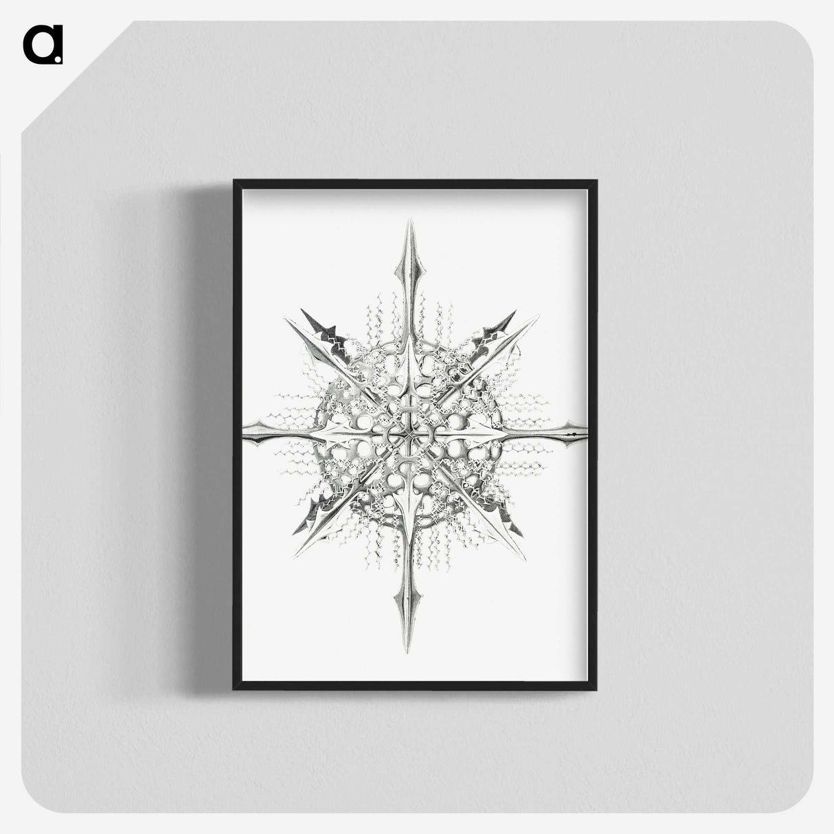 2-52_Ernst-Haeckel_blk-crop