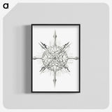 2-52_Ernst-Haeckel_blk-crop