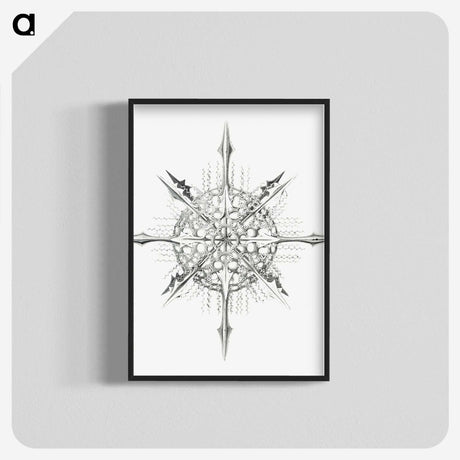 2-52_Ernst-Haeckel_blk-crop