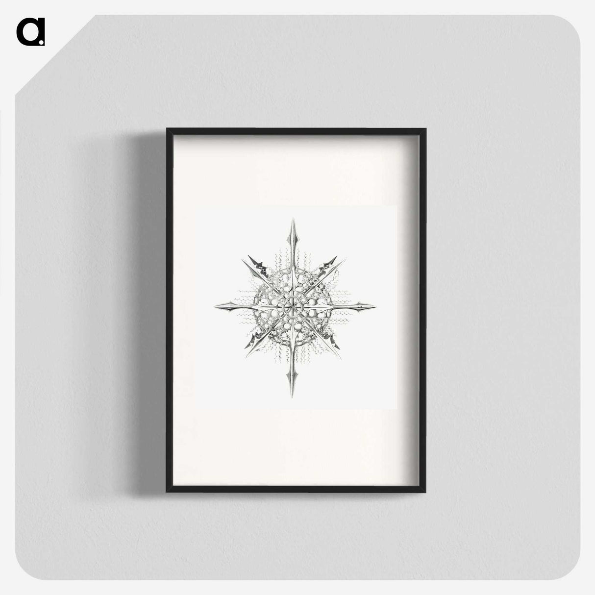 2-52_Ernst-Haeckel_blk