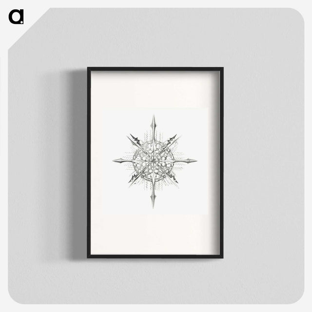 2-52_Ernst-Haeckel_blk