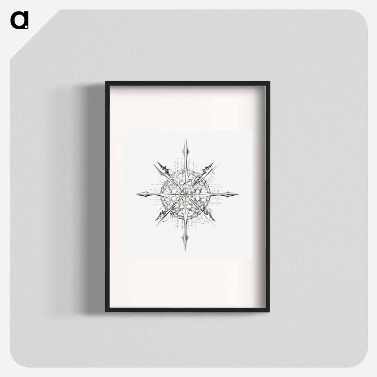 Vintage marine life illustration on white background - エルンスト ヘッケル Poster.