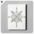 2-52_Ernst-Haeckel_canvas