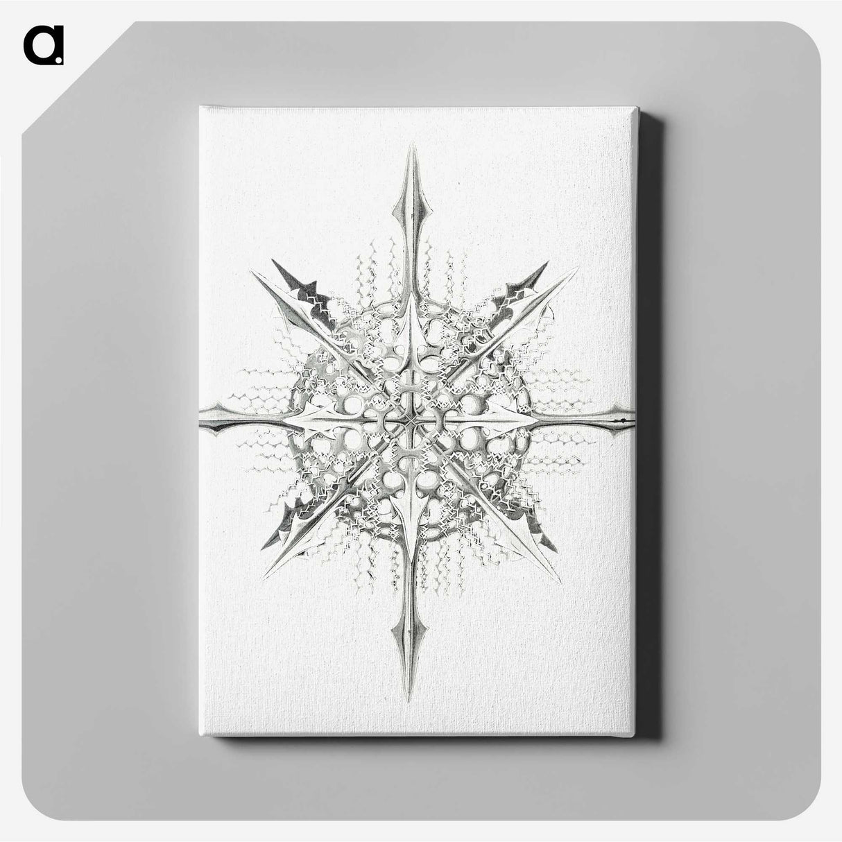 2-52_Ernst-Haeckel_canvas