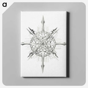 2-52_Ernst-Haeckel_canvas