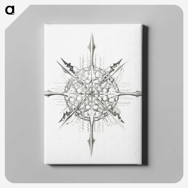 2-52_Ernst-Haeckel_canvas
