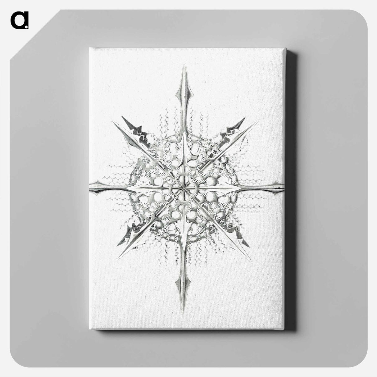 Vintage marine life illustration on white background - エルンスト ヘッケル Canvas.