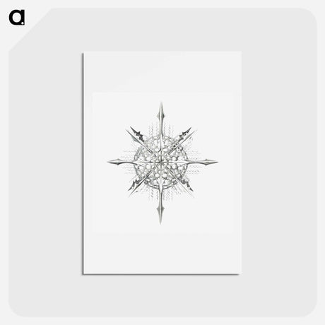アートポストカード-Vintage marine life illustration on white background - エルンスト ヘッケル Postcard.